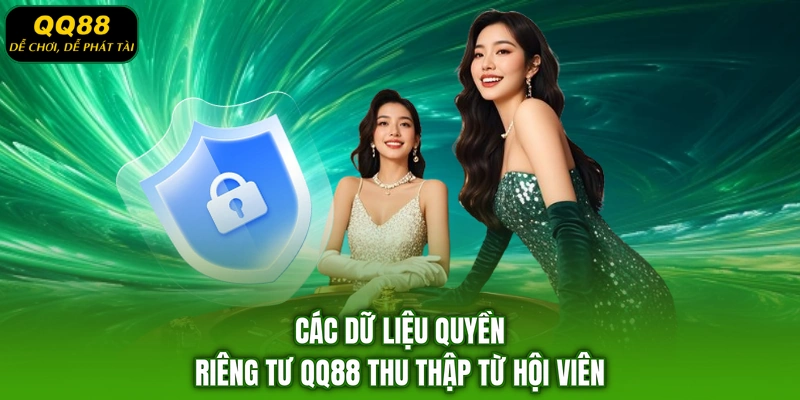 Các dữ liệu quyền riêng tư QQ88 thu thập từ hội viên
