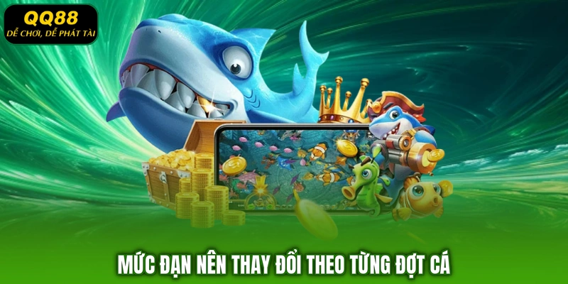 Mức đạn nên thay đổi theo từng đợt cá