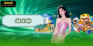 Săn Cá Mập